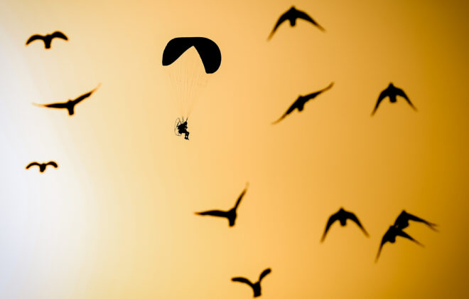 Dance on the wings of the wind